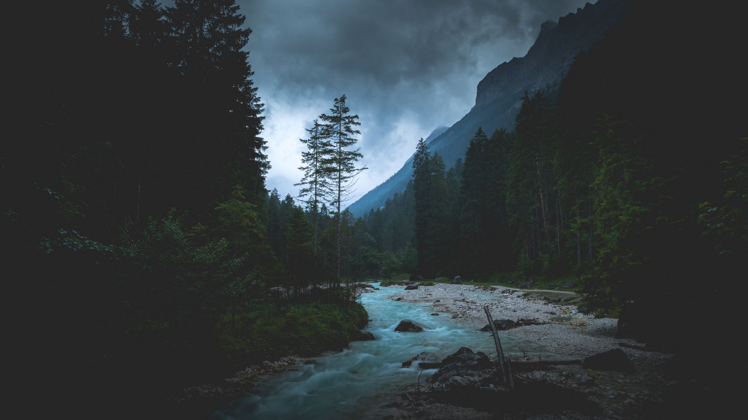 Download wallpaper 2560x1440 river, forest, mountains, dusk, landscape