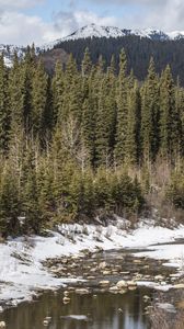 Preview wallpaper river, forest, mountains, trees, landscape, nature