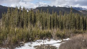 Preview wallpaper river, forest, mountains, trees, landscape, nature