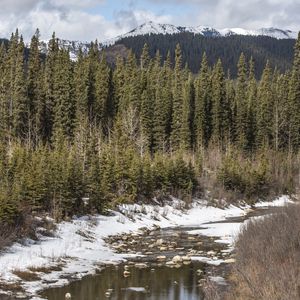 Preview wallpaper river, forest, mountains, trees, landscape, nature