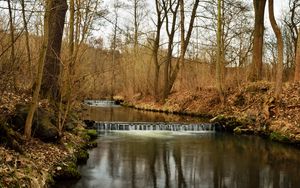 Preview wallpaper river, forest, nature