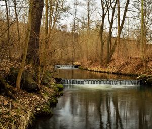 Preview wallpaper river, forest, nature