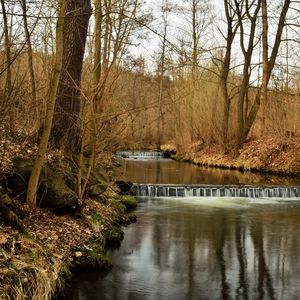 Preview wallpaper river, forest, nature