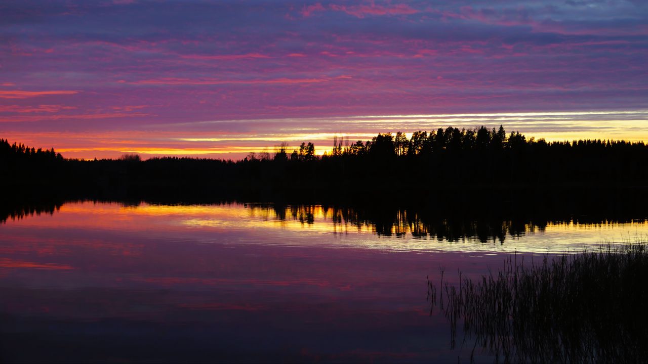 Wallpaper river, forest, silhouettes, evening, dark