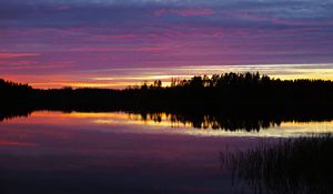 Preview wallpaper river, forest, silhouettes, evening, dark