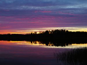 Preview wallpaper river, forest, silhouettes, evening, dark