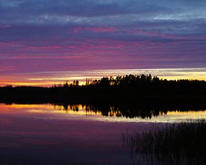 Preview wallpaper river, forest, silhouettes, evening, dark