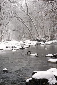 Preview wallpaper river, forest, snow, stones, water, winter