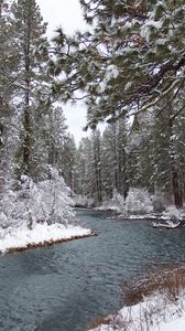 Preview wallpaper river, forest, snow, winter, landscape, nature