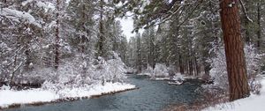 Preview wallpaper river, forest, snow, winter, landscape, nature