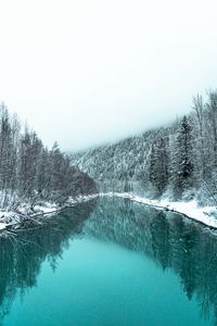 Preview wallpaper river, forest, snowy, winter, landscape