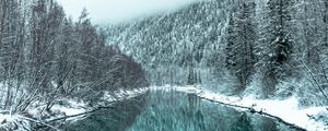 Preview wallpaper river, forest, snowy, winter, landscape