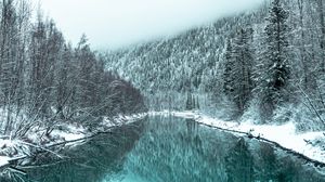 Preview wallpaper river, forest, snowy, winter, landscape