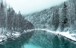 Preview wallpaper river, forest, snowy, winter, landscape