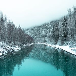 Preview wallpaper river, forest, snowy, winter, landscape