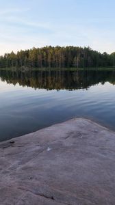 Preview wallpaper river, forest, spruce, reflection, stone