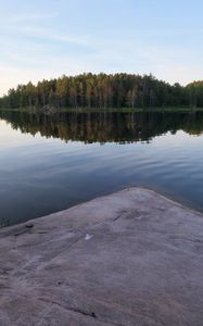 Preview wallpaper river, forest, spruce, reflection, stone