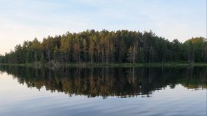 Preview wallpaper river, forest, spruce, reflection, stone