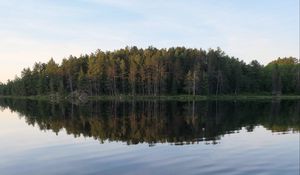 Preview wallpaper river, forest, spruce, reflection, stone