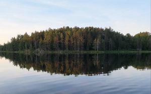 Preview wallpaper river, forest, spruce, reflection, stone