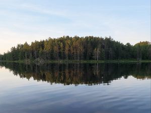 Preview wallpaper river, forest, spruce, reflection, stone