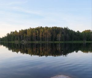 Preview wallpaper river, forest, spruce, reflection, stone