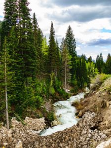 Preview wallpaper river, forest, spruce, stones, stream