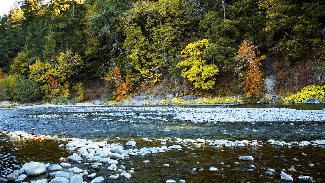Wallpaper river, forest, stones, shore, trees, autumn, water, nature