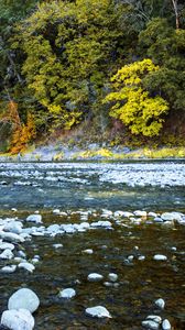 Preview wallpaper river, forest, stones, shore, trees, autumn, water, nature