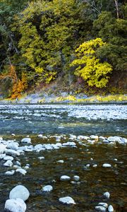 Preview wallpaper river, forest, stones, shore, trees, autumn, water, nature