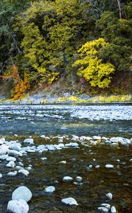Preview wallpaper river, forest, stones, shore, trees, autumn, water, nature