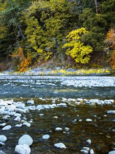 Preview wallpaper river, forest, stones, shore, trees, autumn, water, nature