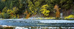 Preview wallpaper river, forest, stones, shore, trees, autumn, water, nature