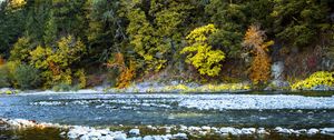 Preview wallpaper river, forest, stones, shore, trees, autumn, water, nature