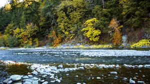 Preview wallpaper river, forest, stones, shore, trees, autumn, water, nature