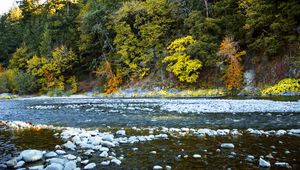 Preview wallpaper river, forest, stones, shore, trees, autumn, water, nature