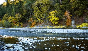 Preview wallpaper river, forest, stones, shore, trees, autumn, water, nature