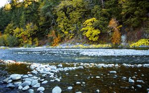 Preview wallpaper river, forest, stones, shore, trees, autumn, water, nature