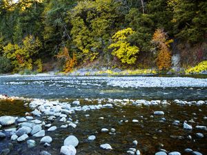 Preview wallpaper river, forest, stones, shore, trees, autumn, water, nature