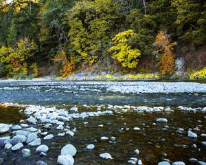 Preview wallpaper river, forest, stones, shore, trees, autumn, water, nature