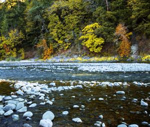 Preview wallpaper river, forest, stones, shore, trees, autumn, water, nature
