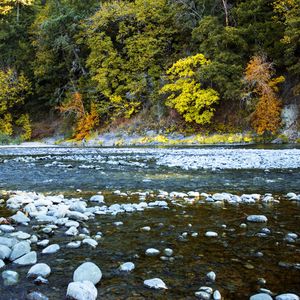 Preview wallpaper river, forest, stones, shore, trees, autumn, water, nature