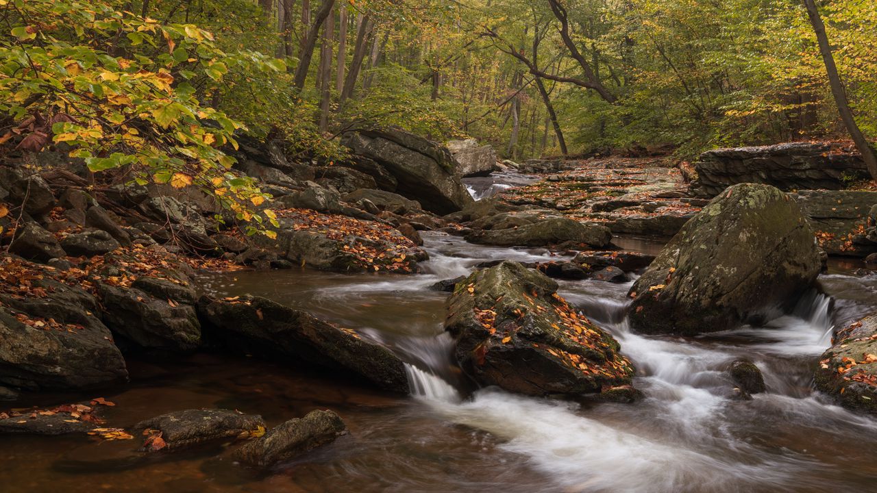 Wallpaper river, forest, stones, leaves, autumn, nature