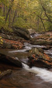 Preview wallpaper river, forest, stones, leaves, autumn, nature