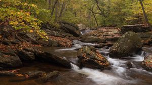 Preview wallpaper river, forest, stones, leaves, autumn, nature