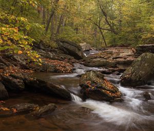 Preview wallpaper river, forest, stones, leaves, autumn, nature