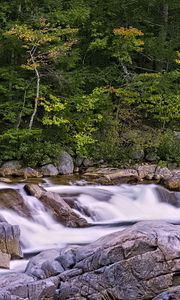 Preview wallpaper river, forest, trees, stones, long exposure, landscape, nature