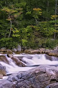 Preview wallpaper river, forest, trees, stones, long exposure, landscape, nature