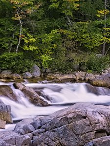 Preview wallpaper river, forest, trees, stones, long exposure, landscape, nature