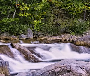 Preview wallpaper river, forest, trees, stones, long exposure, landscape, nature